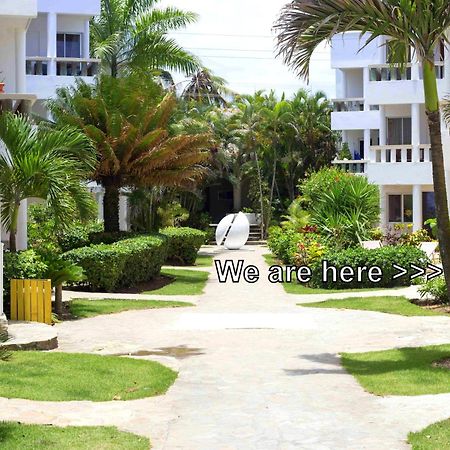 Condo Cabrinha - Direct On Kite Beach Cabarete Habitación foto