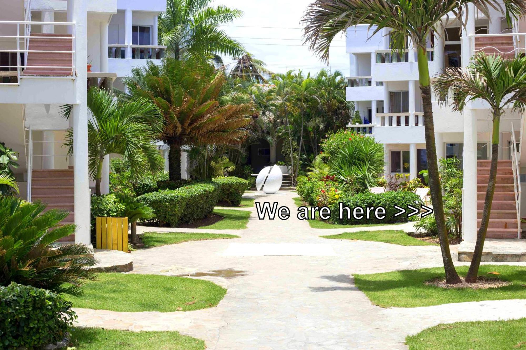 Condo Cabrinha - Direct On Kite Beach Cabarete Habitación foto