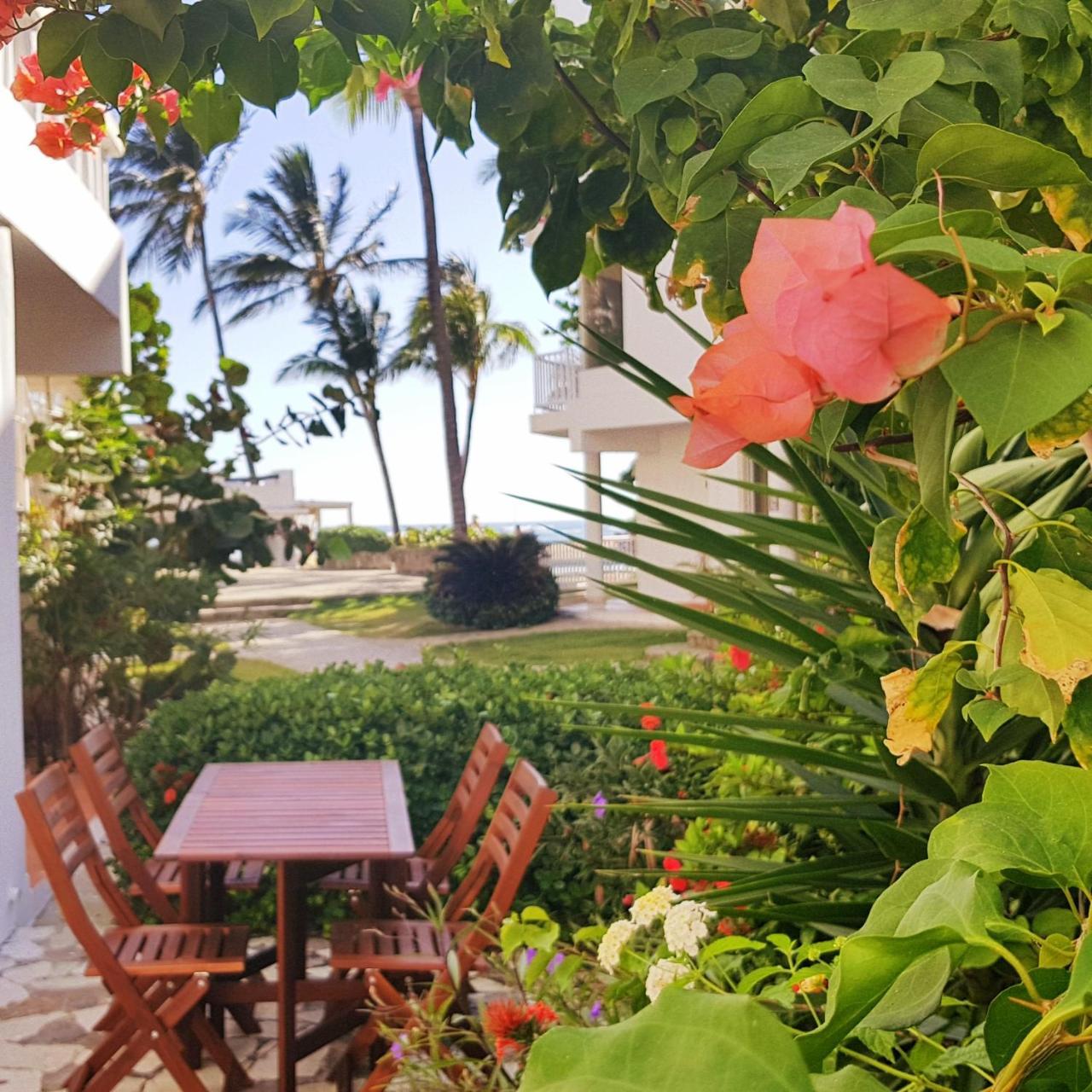 Condo Cabrinha - Direct On Kite Beach Cabarete Exterior foto